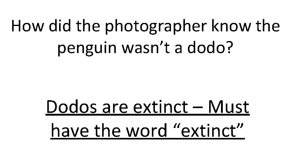 How did the photographer know the penguin wasn’t a dodo? Dodos are extinct –