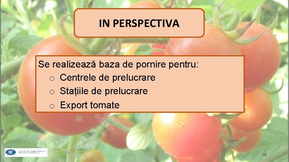 IN PERSPECTIVA Se realizează baza de pornire pentru: o Centrele de prelucrare o Stațiile