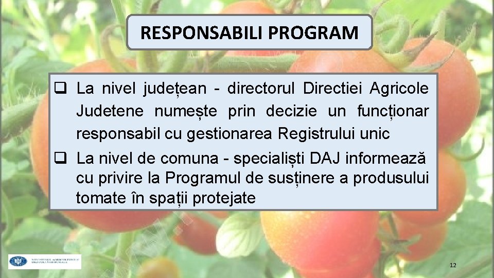 RESPONSABILI PROGRAM q La nivel județean - directorul Directiei Agricole Judetene numește prin decizie