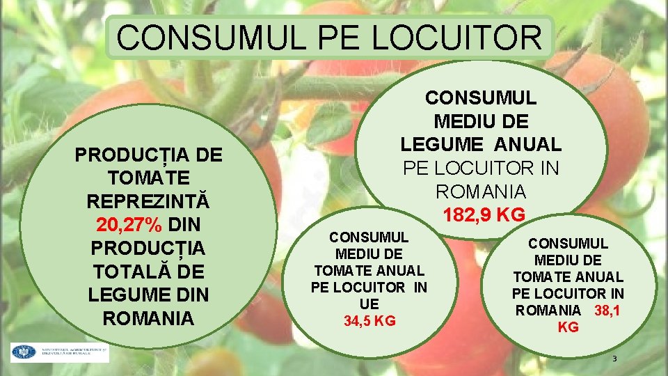 CONSUMUL PE LOCUITOR PRODUCȚIA DE TOMATE REPREZINTĂ 20, 27% DIN PRODUCȚIA TOTALĂ DE LEGUME