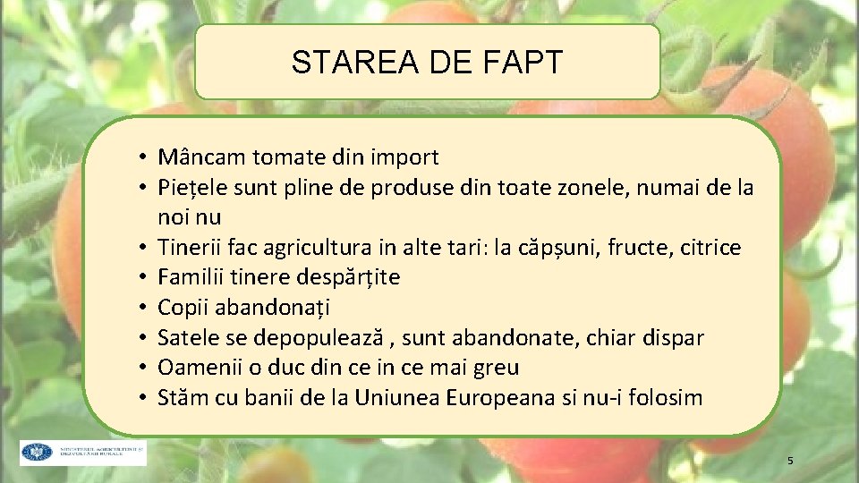 STAREA DE FAPT • Mâncam tomate din import • Piețele sunt pline de produse