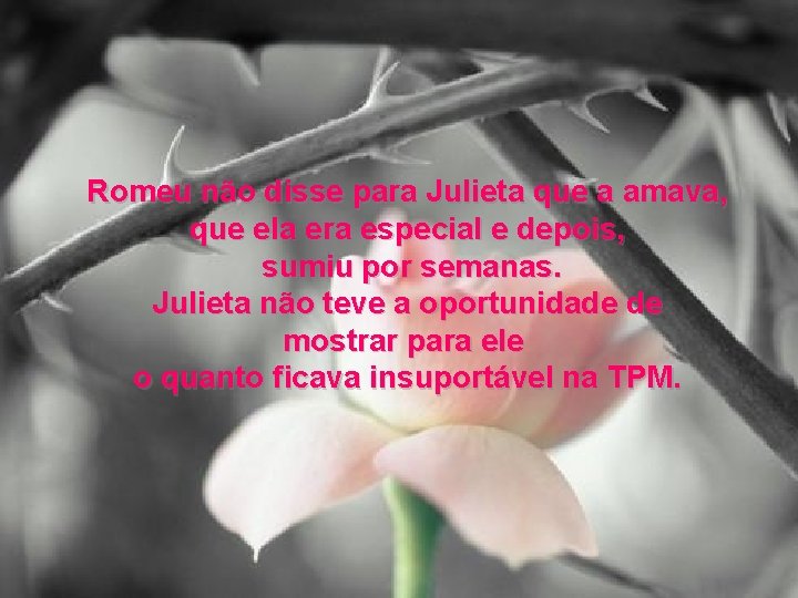 Romeu não disse para Julieta que a amava, que ela era especial e depois,