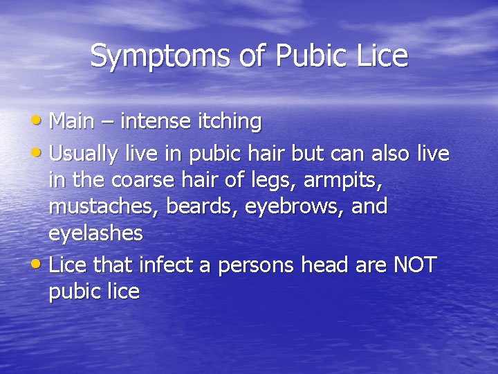 Symptoms of Pubic Lice • Main – intense itching • Usually live in pubic