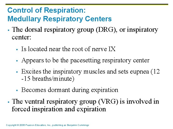 Control of Respiration: Medullary Respiratory Centers § The dorsal respiratory group (DRG), or inspiratory