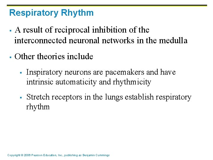 Respiratory Rhythm § § A result of reciprocal inhibition of the interconnected neuronal networks