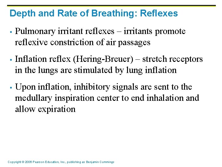 Depth and Rate of Breathing: Reflexes § § § Pulmonary irritant reflexes – irritants