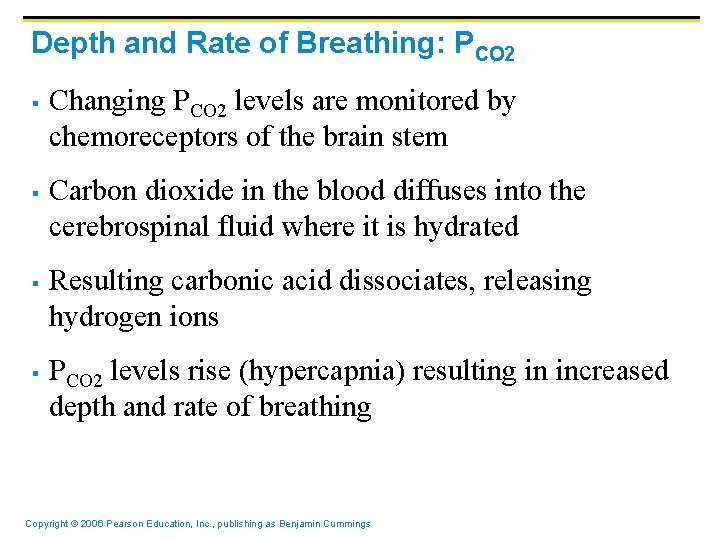 Depth and Rate of Breathing: PCO 2 § § Changing PCO 2 levels are