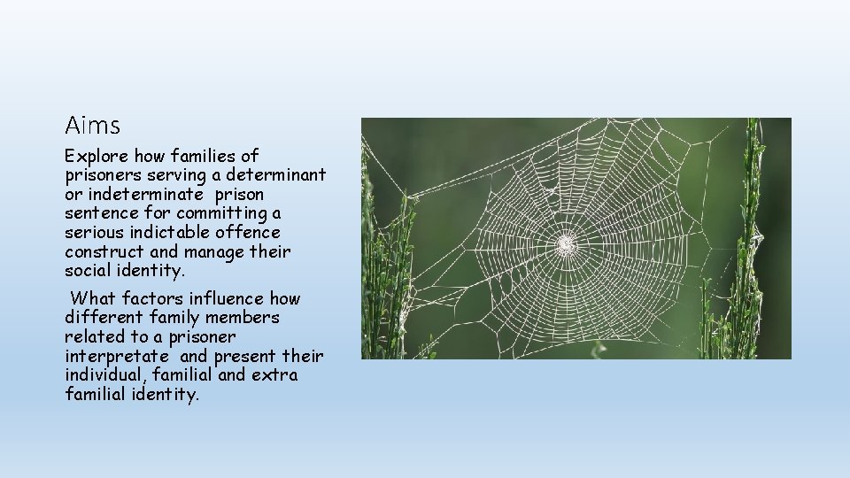 Aims Explore how families of prisoners serving a determinant or indeterminate prison sentence for