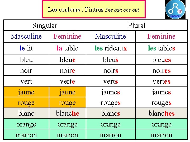 Les couleurs : l’intrus The odd one out Singular Masculine Feminine Plural Masculine Feminine