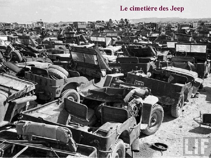 Le cimetière des Jeep 