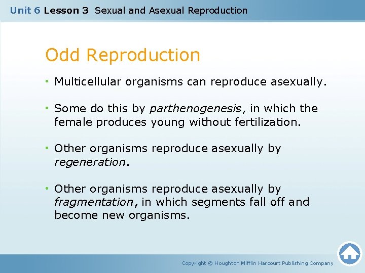 Unit 6 Lesson 3 Sexual and Asexual Reproduction Odd Reproduction • Multicellular organisms can