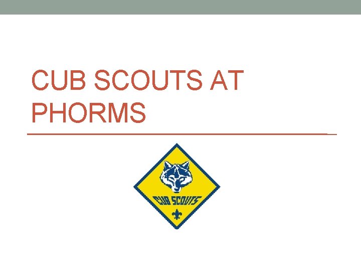 CUB SCOUTS AT PHORMS 