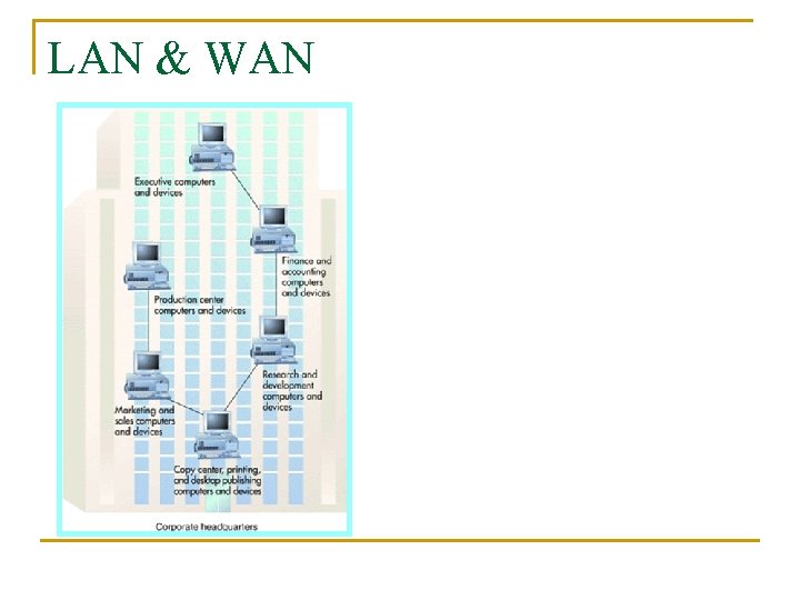 LAN & WAN A Typical LAN in a BUS Topology A Wide Area Network