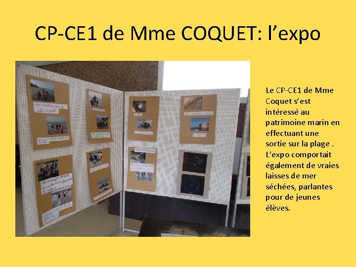 CP-CE 1 de Mme COQUET: l’expo Le CP-CE 1 de Mme Coquet s’est intéressé