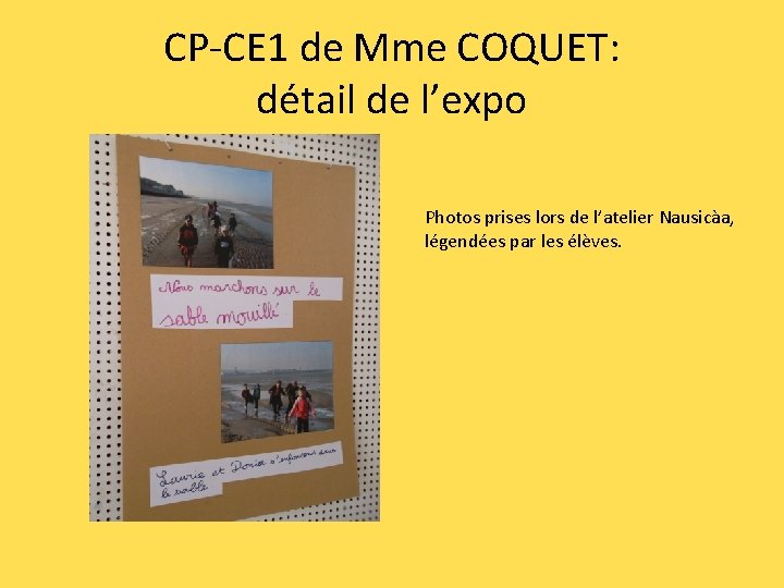 CP-CE 1 de Mme COQUET: détail de l’expo Photos prises lors de l’atelier Nausicàa,