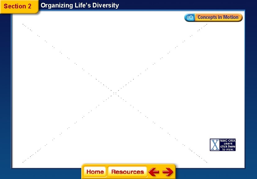 Section 2 Organizing Life’s Diversity 