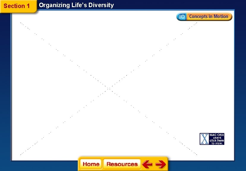 Section 1 Organizing Life’s Diversity 