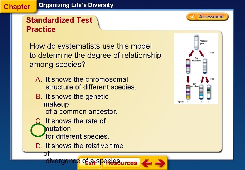 Chapter Organizing Life’s Diversity Standardized Test Practice How do systematists use this model to