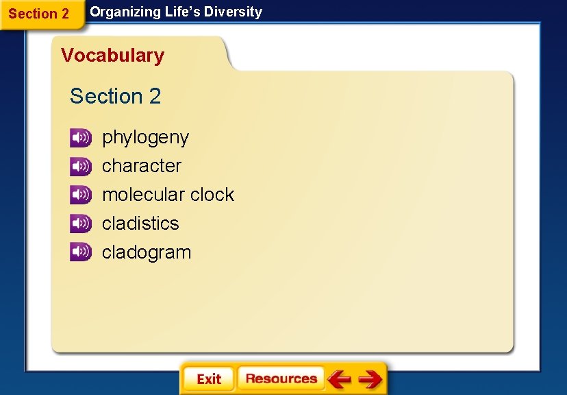 Section 2 Organizing Life’s Diversity Vocabulary Section 2 phylogeny character molecular clock cladistics cladogram