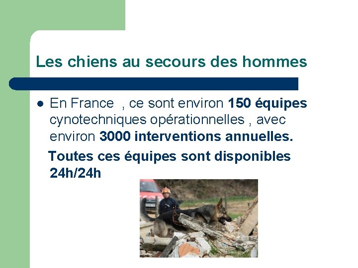 Les chiens au secours des hommes l En France , ce sont environ 150