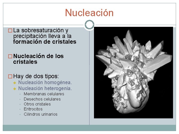 Nucleación � La sobresaturación y precipitación lleva a la formación de cristales � Nucleación