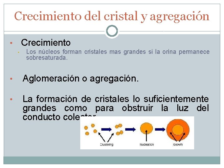 Crecimiento del cristal y agregación Crecimiento • • Los núcleos forman cristales mas grandes