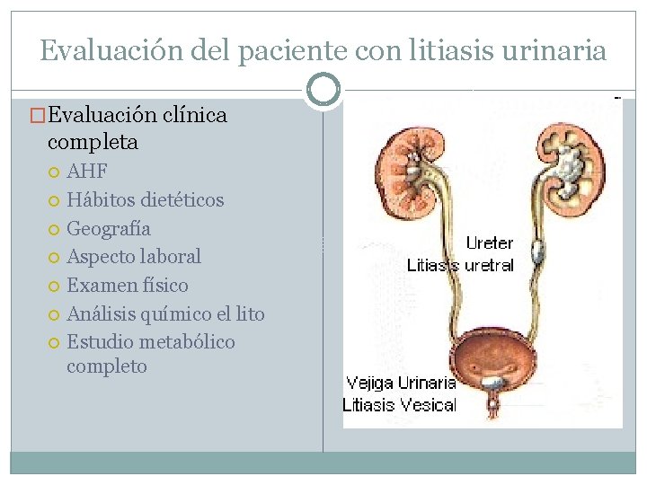 Evaluación del paciente con litiasis urinaria �Evaluación clínica completa AHF Hábitos dietéticos Geografía Aspecto