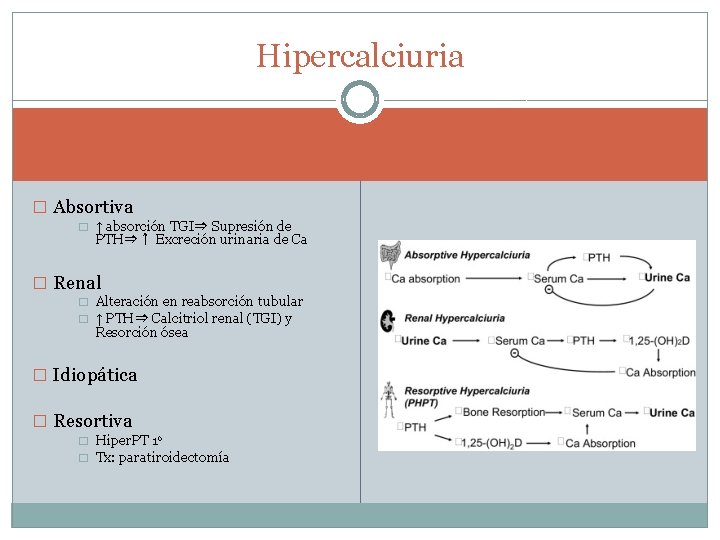 Hipercalciuria � Absortiva � ↑ absorción TGI⇒ Supresión de PTH⇒↑ Excreción urinaria de Ca