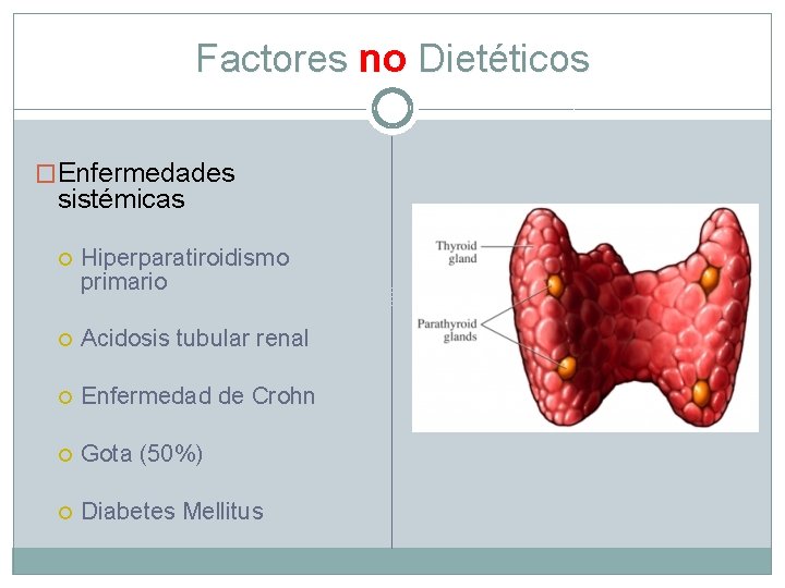 Factores no Dietéticos �Enfermedades sistémicas Hiperparatiroidismo primario Acidosis tubular renal Enfermedad de Crohn Gota