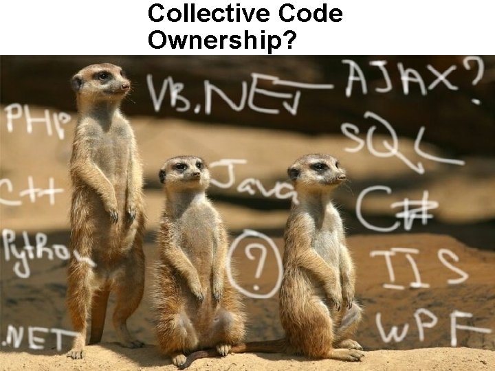 Collective Code Ownership? Collective Code Ownership?