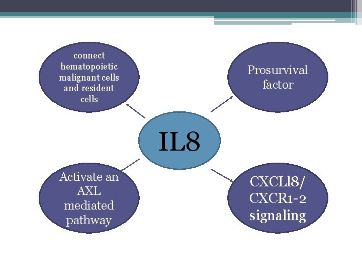 connect hematopoietic malignant cells and resident cells Prosurvival factor IL 8 Activate an AXL