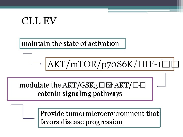 CLL EV maintain the state of activation AKT/m. TOR/p 70 S 6 K/HIF-1�� modulate