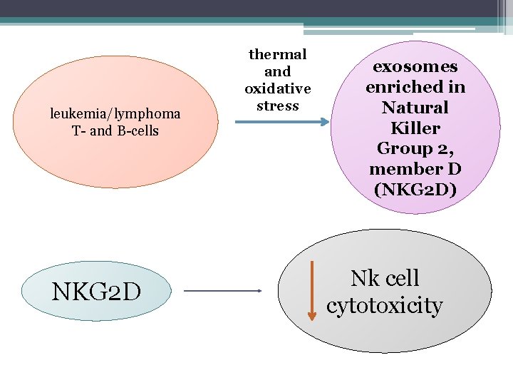 leukemia/lymphoma T- and B-cells NKG 2 D thermal and oxidative stress exosomes enriched in