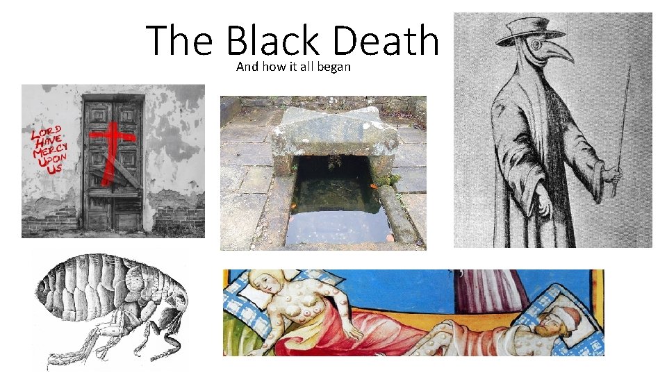 The Black Death And how it all began 