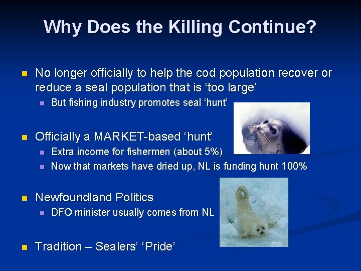 Why Does the Killing Continue? n No longer officially to help the cod population