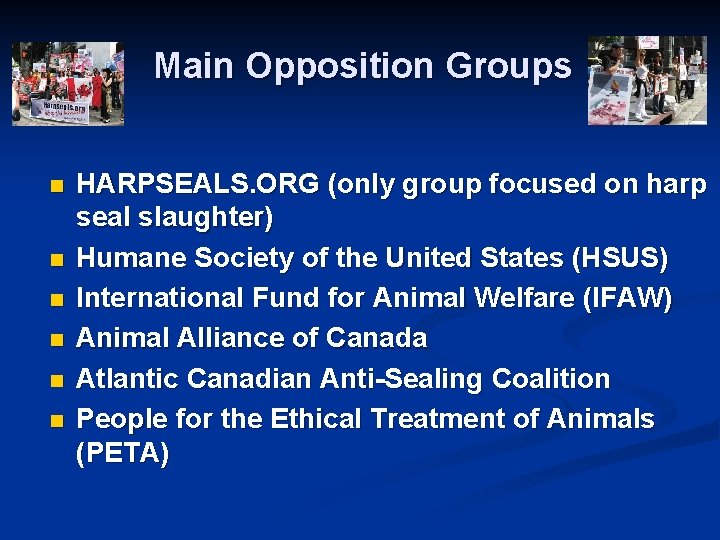 Main Opposition Groups n n n HARPSEALS. ORG (only group focused on harp seal