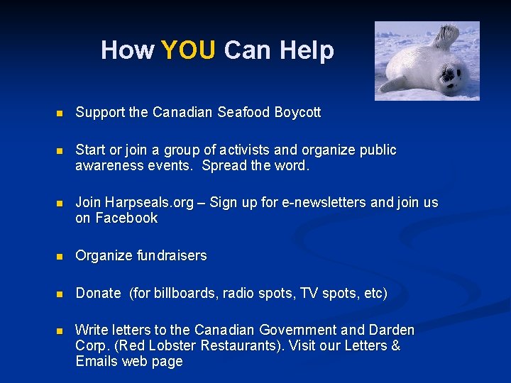How YOU Can Help n Support the Canadian Seafood Boycott n Start or join