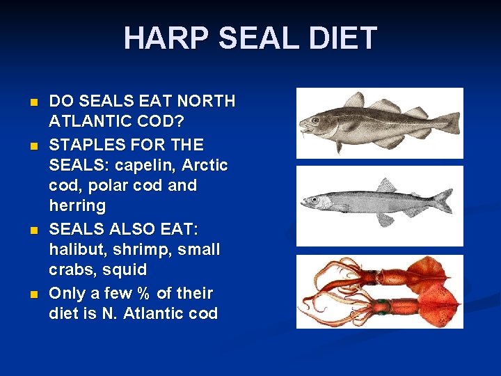 HARP SEAL DIET n n DO SEALS EAT NORTH ATLANTIC COD? STAPLES FOR THE