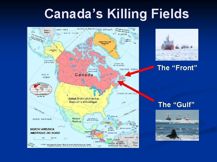 Canada’s Killing Fields The “Front” The “Gulf” 