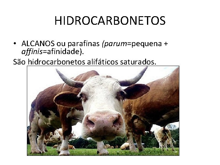 HIDROCARBONETOS • ALCANOS ou parafinas (parum=pequena + affinis=afinidade). São hidrocarbonetos alifáticos saturados. 