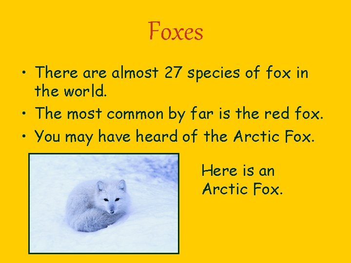 Foxes • There almost 27 species of fox in the world. • The most