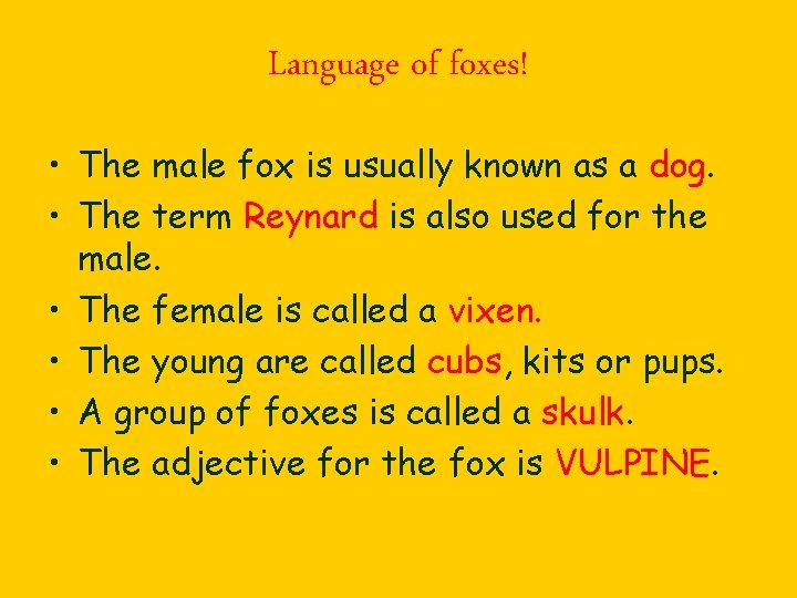 Language of foxes! • The male fox is usually known as a dog. •