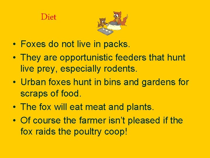 Diet • Foxes do not live in packs. • They are opportunistic feeders that