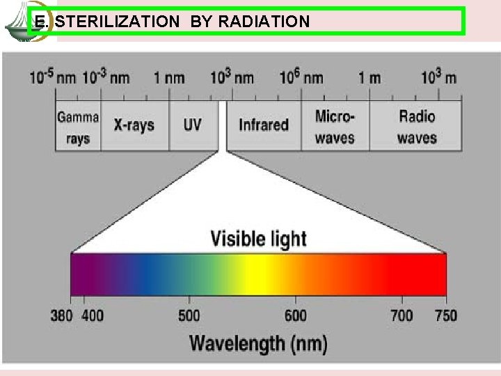 E. STERILIZATION BY RADIATION 