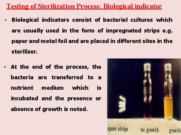 Testing of Sterilization Process: Biological indicator • Biological indicators consist of bacterial cultures which