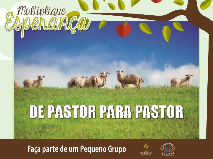 DE PASTOR PARA PASTOR 