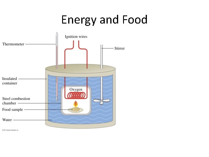Energy and Food 