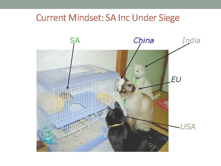 Current Mindset: SA Inc Under Siege SA China India EU USA 