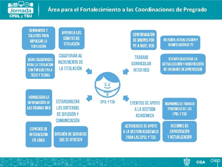 Área para el Fortalecimiento a las Coordinaciones de Pregrado 