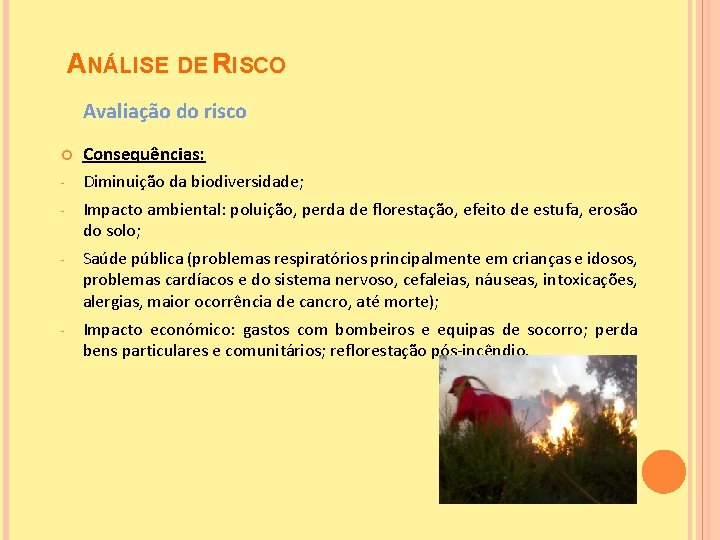 ANÁLISE DE RISCO Avaliação do risco Consequências: - Diminuição da biodiversidade; - Impacto ambiental: